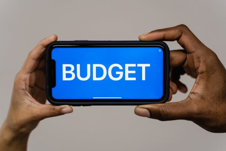 budget phone insurance plan